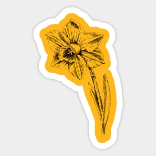 Narcissus Print Sticker